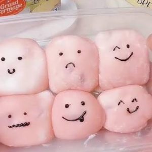 موچی Marshmallow
